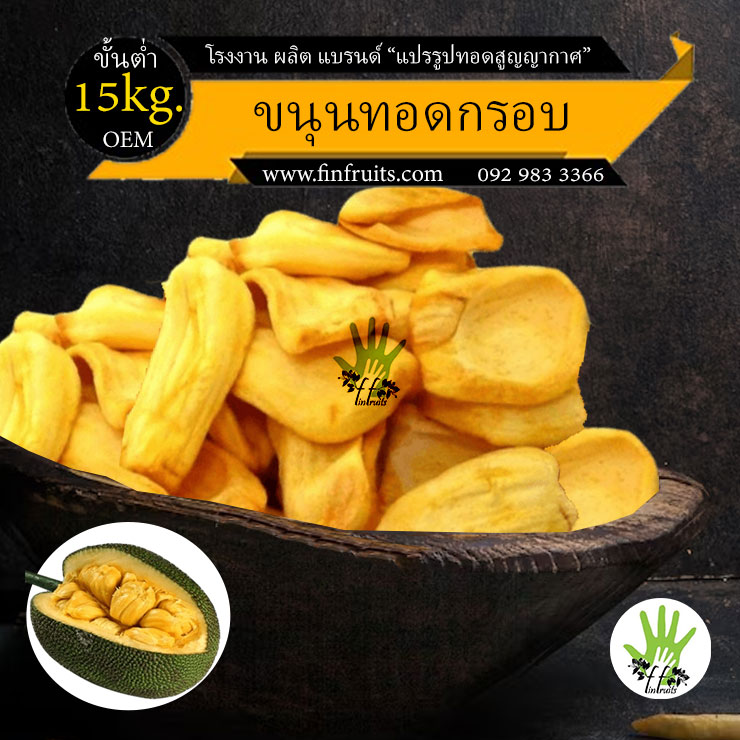 ผลิตอาหาร รับ แปรรูป ผลไม้ ขนุนไทยกรอบ jackfruits chips snack crispy Thailand food processing industry 菠萝蜜片零食脆皮 โรงงาน OEM