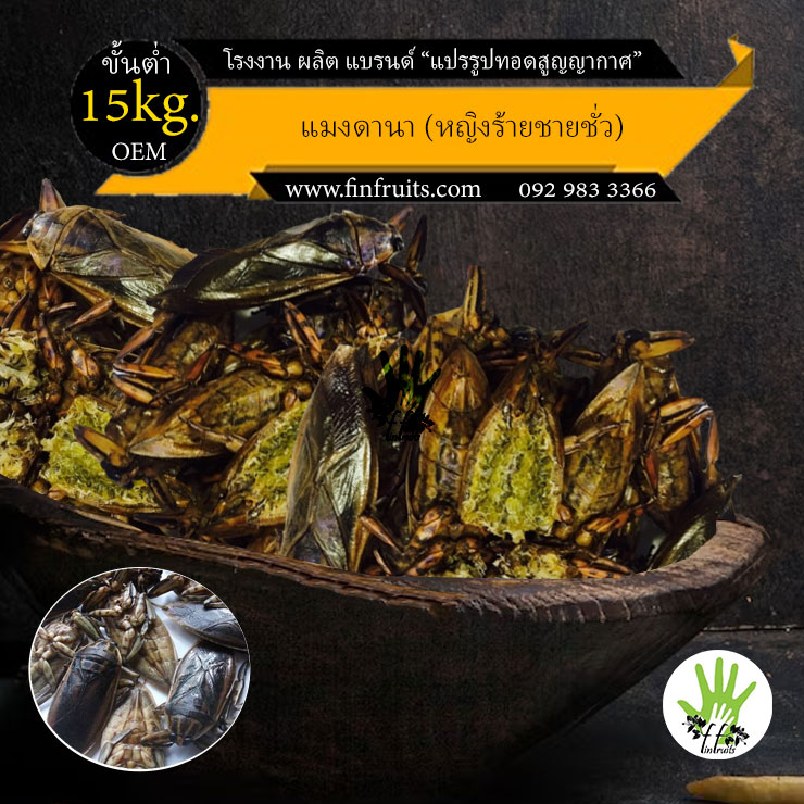 ผลิตอาหาร รับ แปรรูป แมงแมลงทอด แมงดานา Mang Da Na thai insects food  beetle chips snack crispy Thailand food processing industryMang Da Na 泰国昆虫食品甲 โรงงาน OEM
